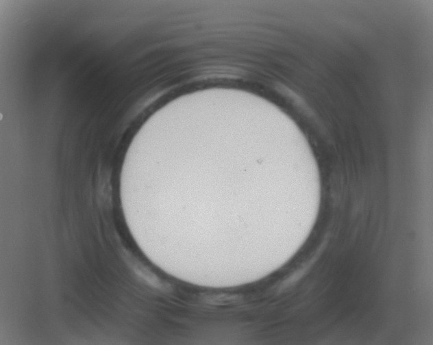 X0000081311113200702082103