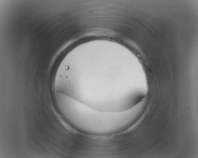 X0000081311114200702082103