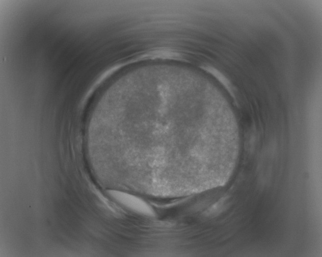 X0000081311115200702082103