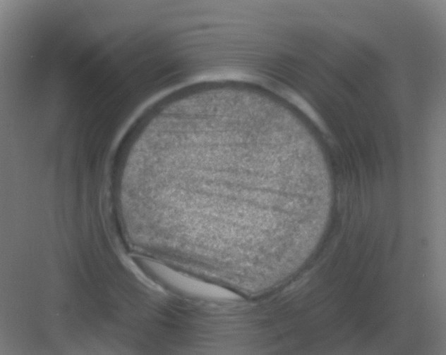 X0000081311116200702082103