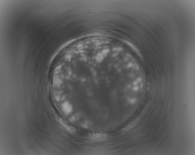 X0000081311117200702082103