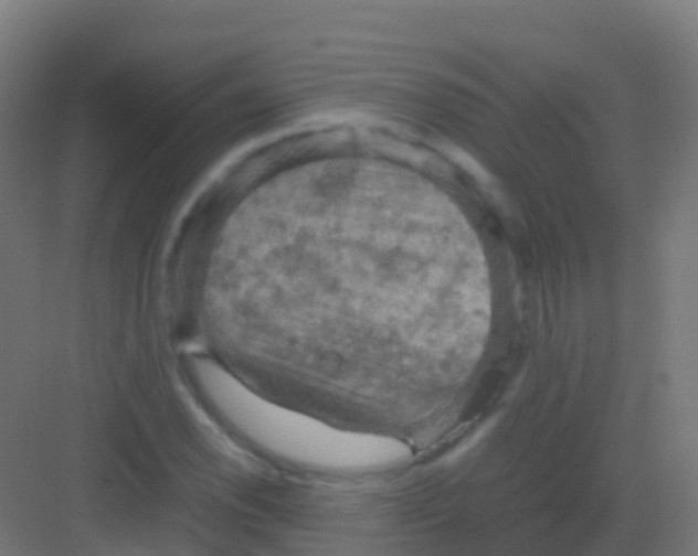 X0000081311118200702082103