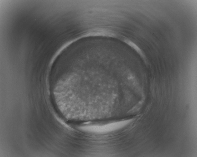 X0000081311120200702082103