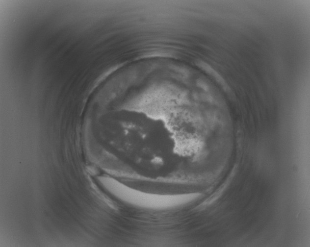 X0000081311121200702082103