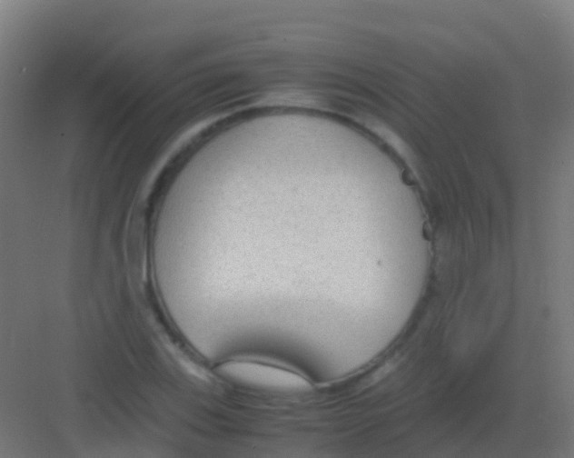 X0000081311123200702082103