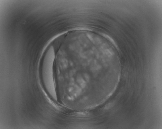 X0000081311125200702082103