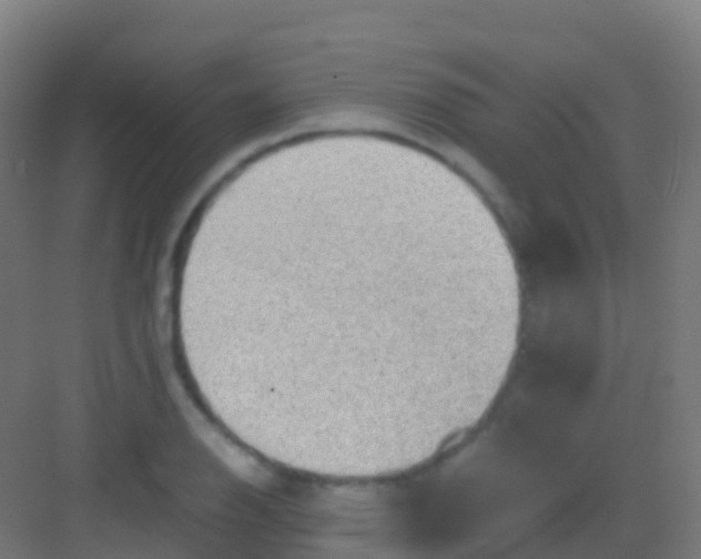 X0000081311126200702082103