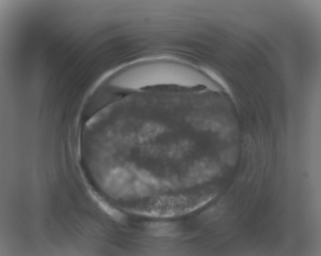 X0000081311127200702082103