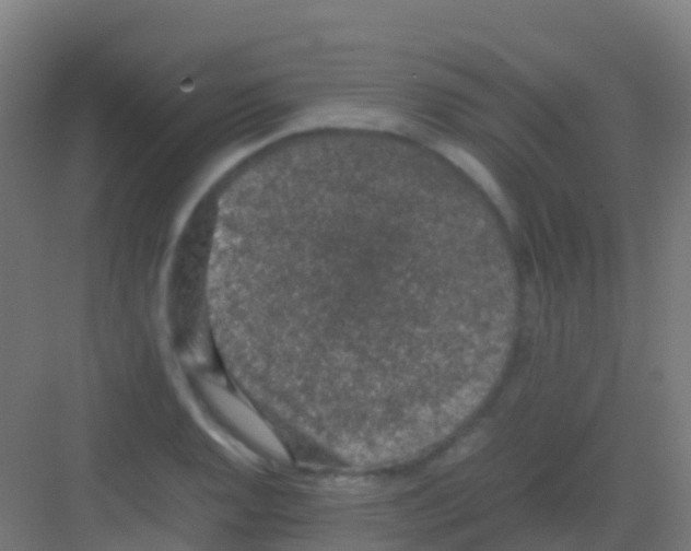 X0000081311128200702082103