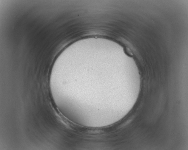 X0000081311129200702082103