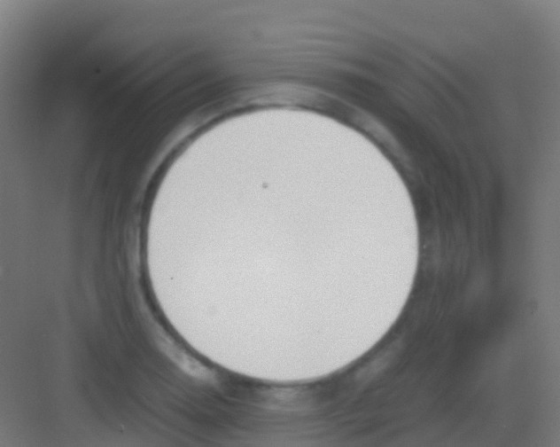 X0000081311130200702082103