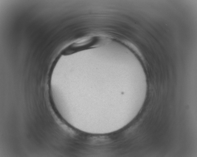 X0000081311133200702082103