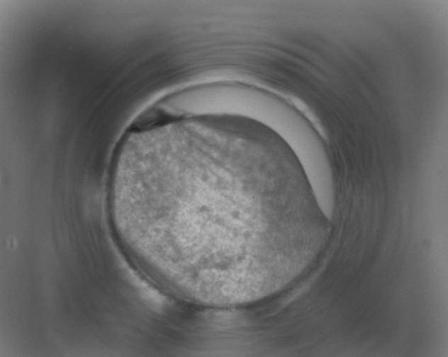 X0000081311134200702082103