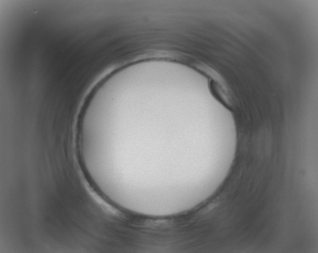 X0000081311135200702082103