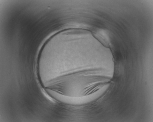 X0000081311136200702082103