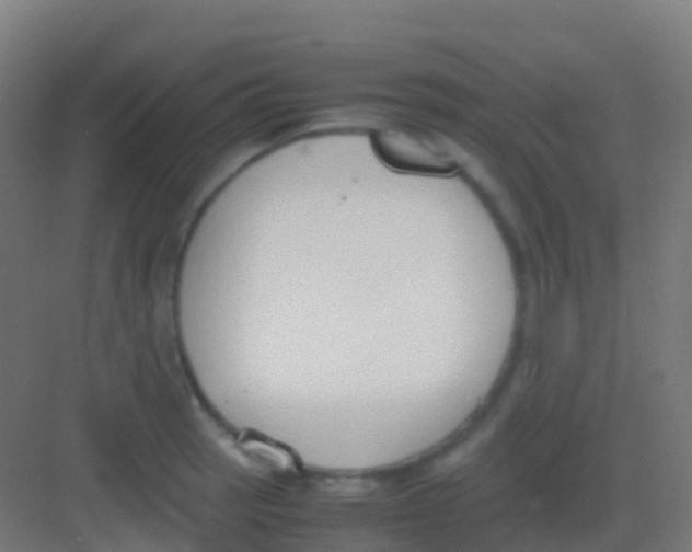 X0000081311137200702082103