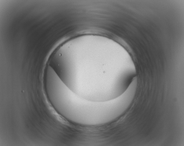 X0000081311138200702082103