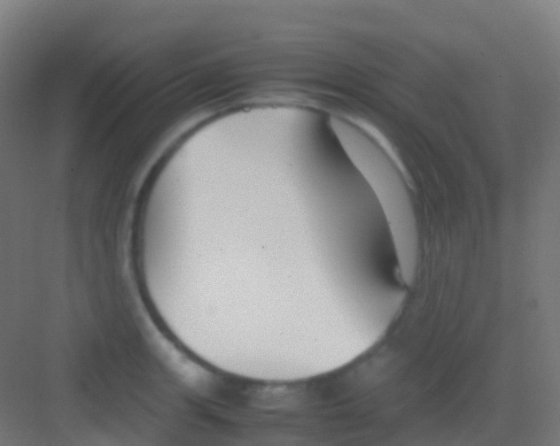 X0000081311139200702082103