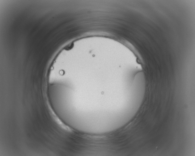 X0000081311140200702082103