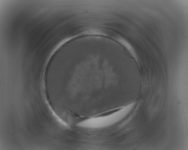 X0000081311141200702082103