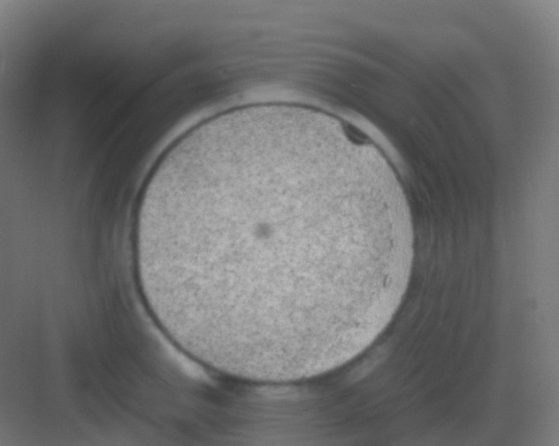 X0000081311142200702082103