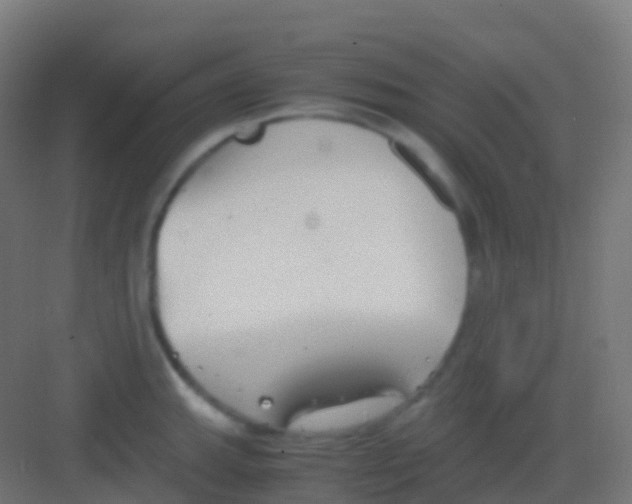 X0000081311143200702082103