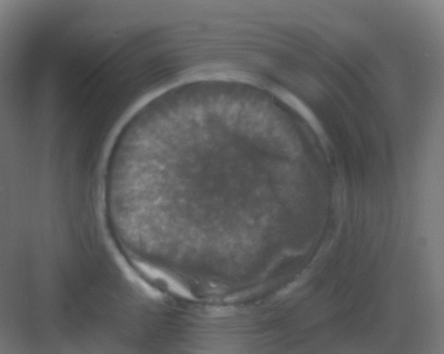 X0000081311144200702082103