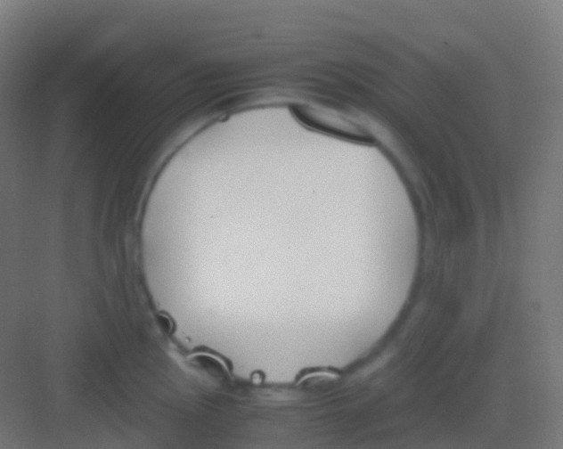 X0000081311145200702082103