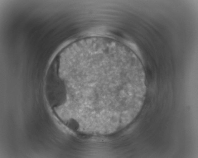 X0000081311146200702082104