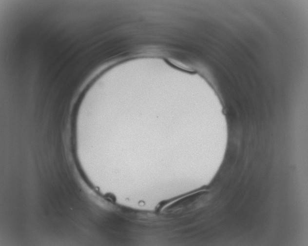 X0000081311147200702082104