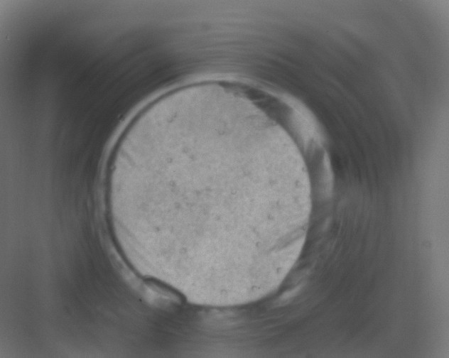 X0000081311148200702082104