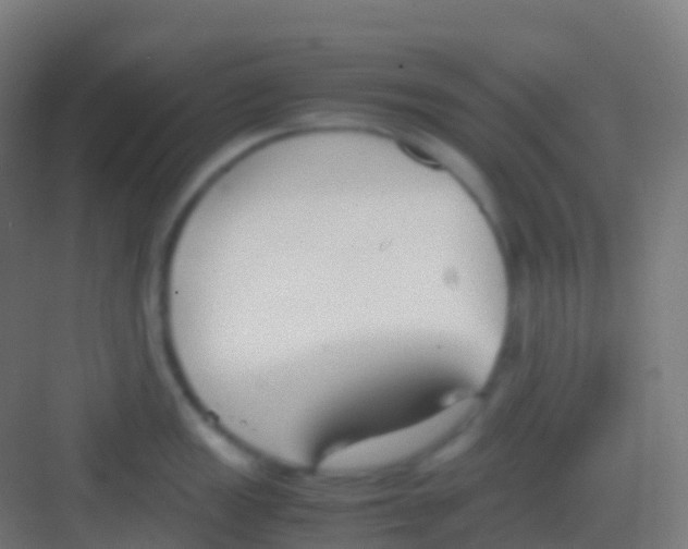 X0000081311149200702082104