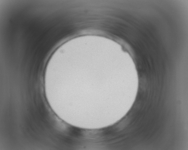 X0000081311150200702082104