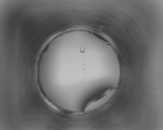 X0000081311151200702082104