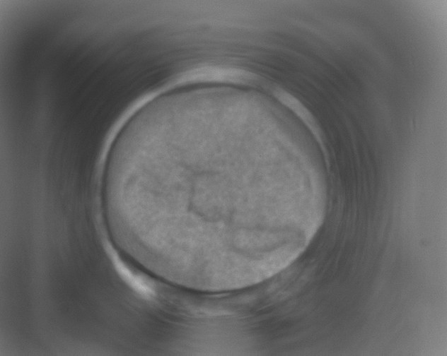 X0000081311152200702082104