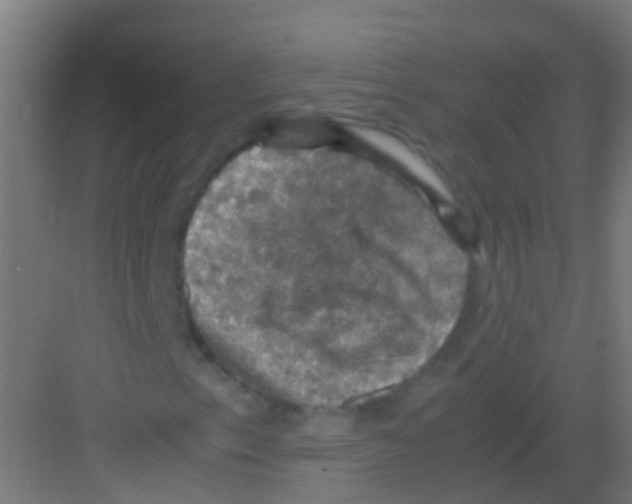 X0000081311153200702082103