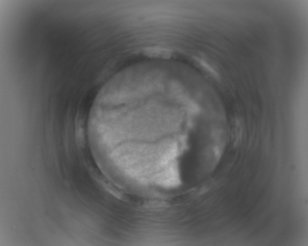 X0000081311154200702082103