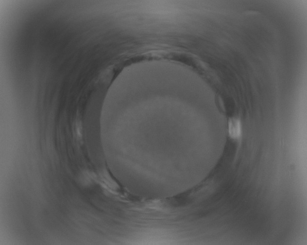 X0000081311155200702082103