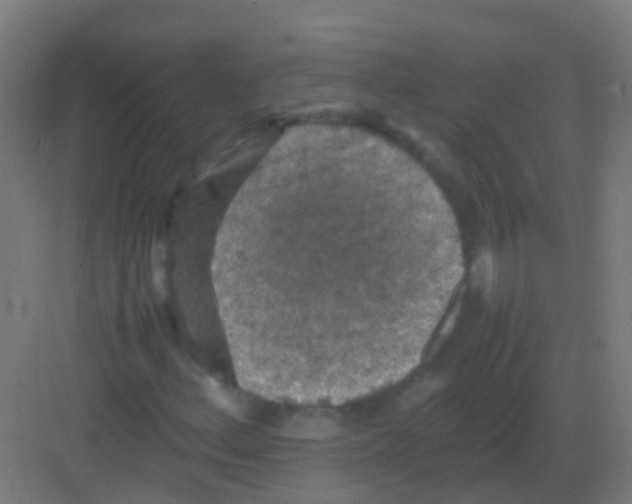 X0000081311156200702082103