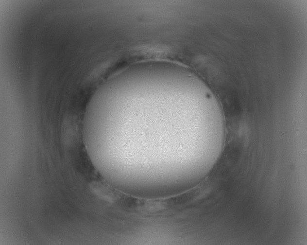 X0000081311157200702082103