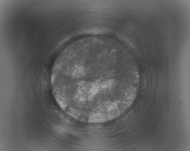 X0000081311158200702082103