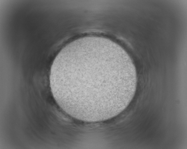 X0000081311159200702082103