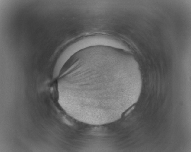 X0000081311160200702082103