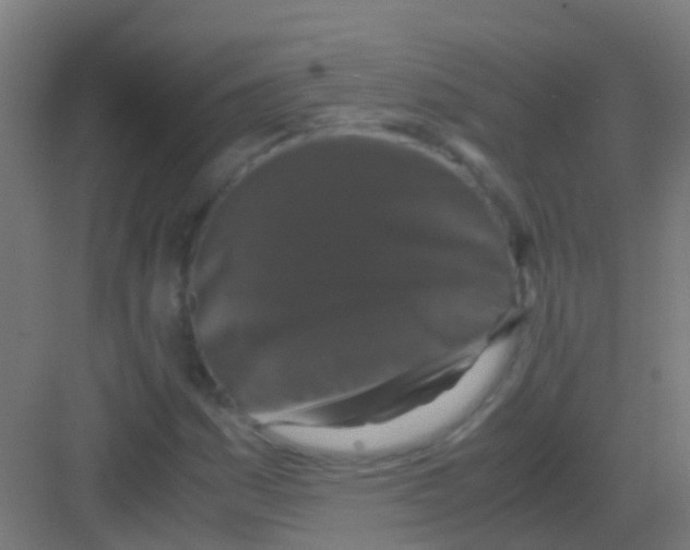 X0000081311161200702082103