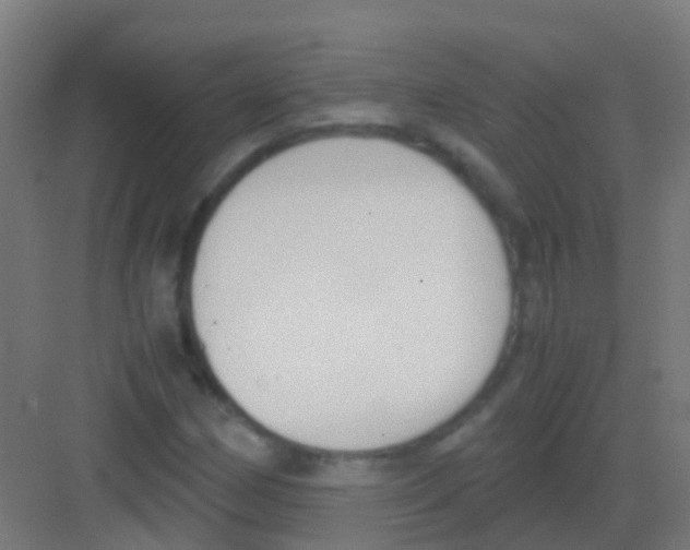 X0000081311162200702082103