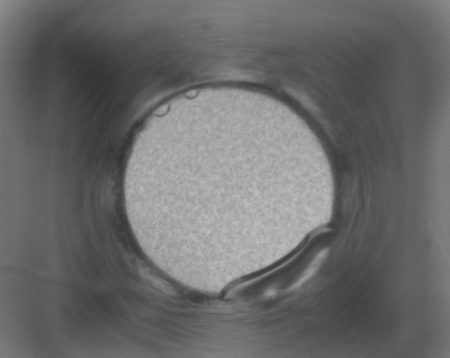 X0000081311163200702082103