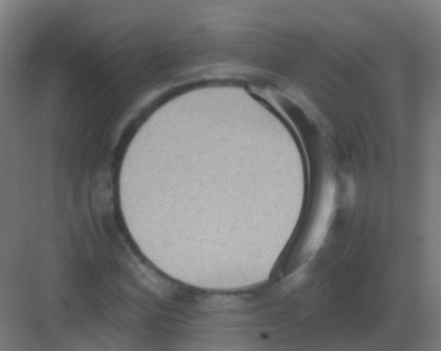 X0000081311164200702082103