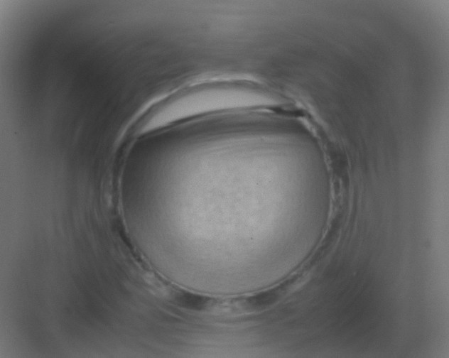 X0000081311165200702082103