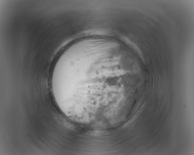 X0000081311166200702082103