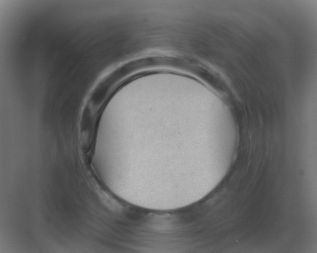 X0000081311168200702082103